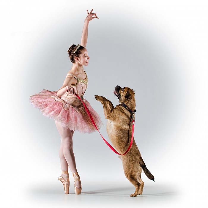 Richard Calmes