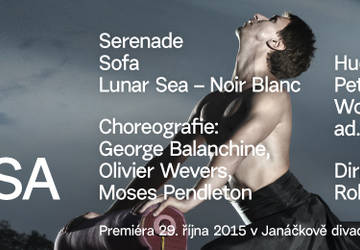 ndb-made-in-usa-banner-950x260px