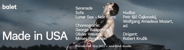 ndb-made-in-usa-banner-950x260px