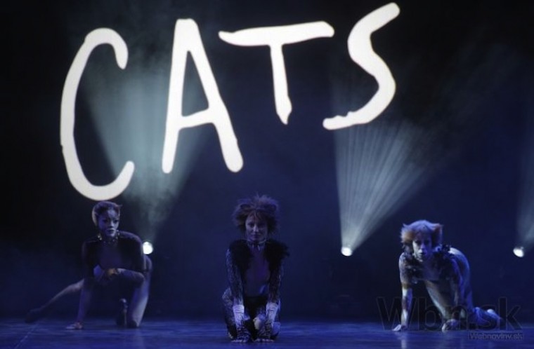 nova-scena-pripravuje-muzikal-cats