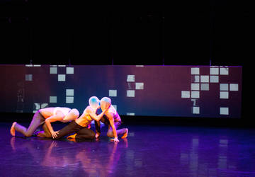 elledanse - identity
