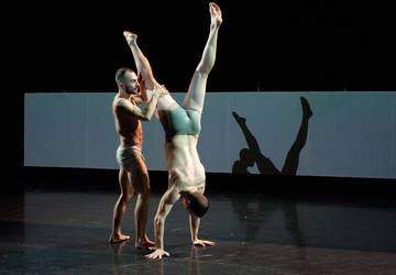 elledanse - identity