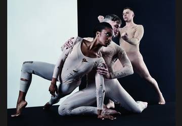 bloodlines stephen petronio