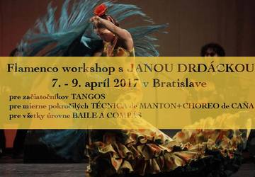 flamenco - workshop