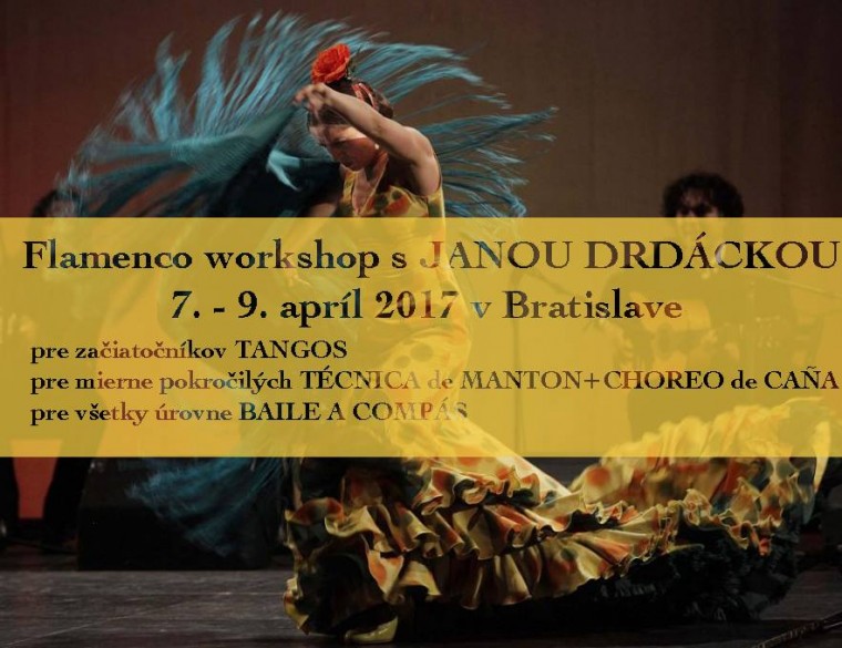 flamenco - workshop